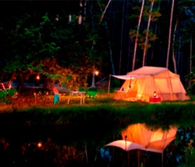 The Campsites at Disney's Fort Wilderness Resort