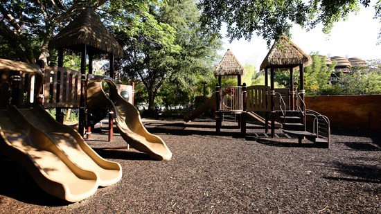 Playground Hakuna Matata