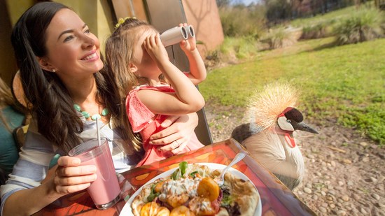 Dine with an Animal Specialist