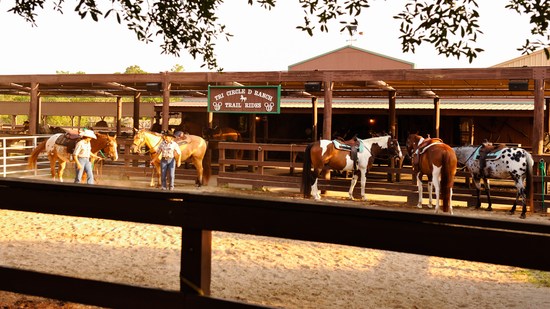 Tri-Circle-D Ranch
