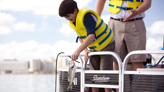 Pesca