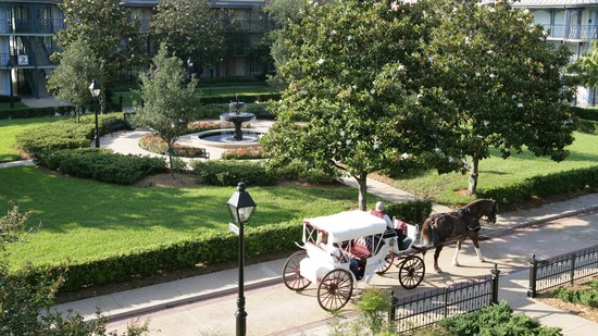 Passeios de carruagem