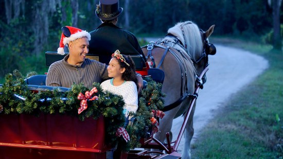 Passeios em trenós festivos