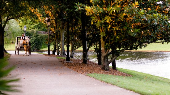 Passeios de carruagem