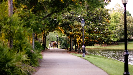 Passeios de carruagem
