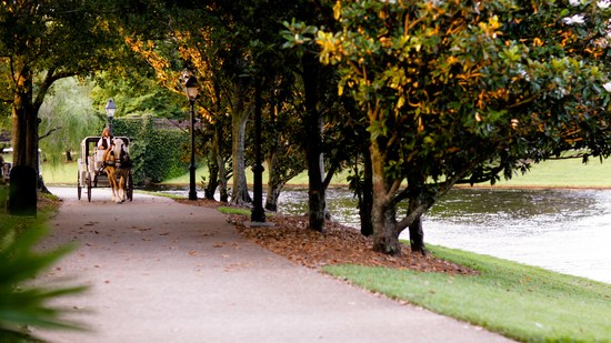 Passeios de carruagem